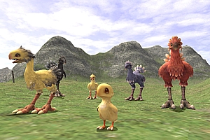 陆行鸟任务 Chocobo License